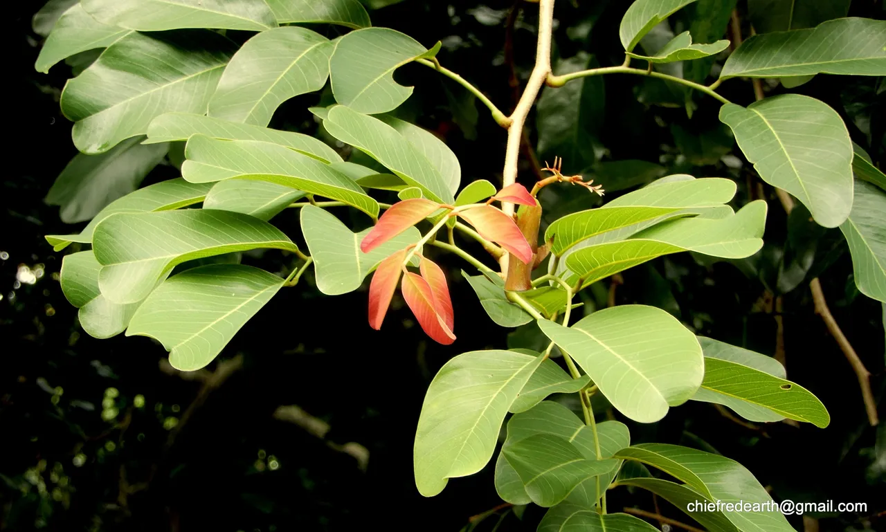 33938d2ac8884a6b84b6e9cfcace7b28