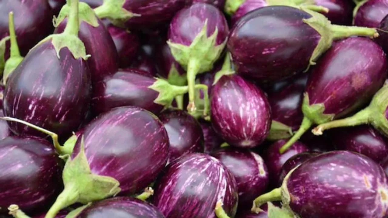 w-1280,h-720,format-jpg,imgid-01h6rfawytmfnkmhpkwqa37604,imgname-fotojet--45-