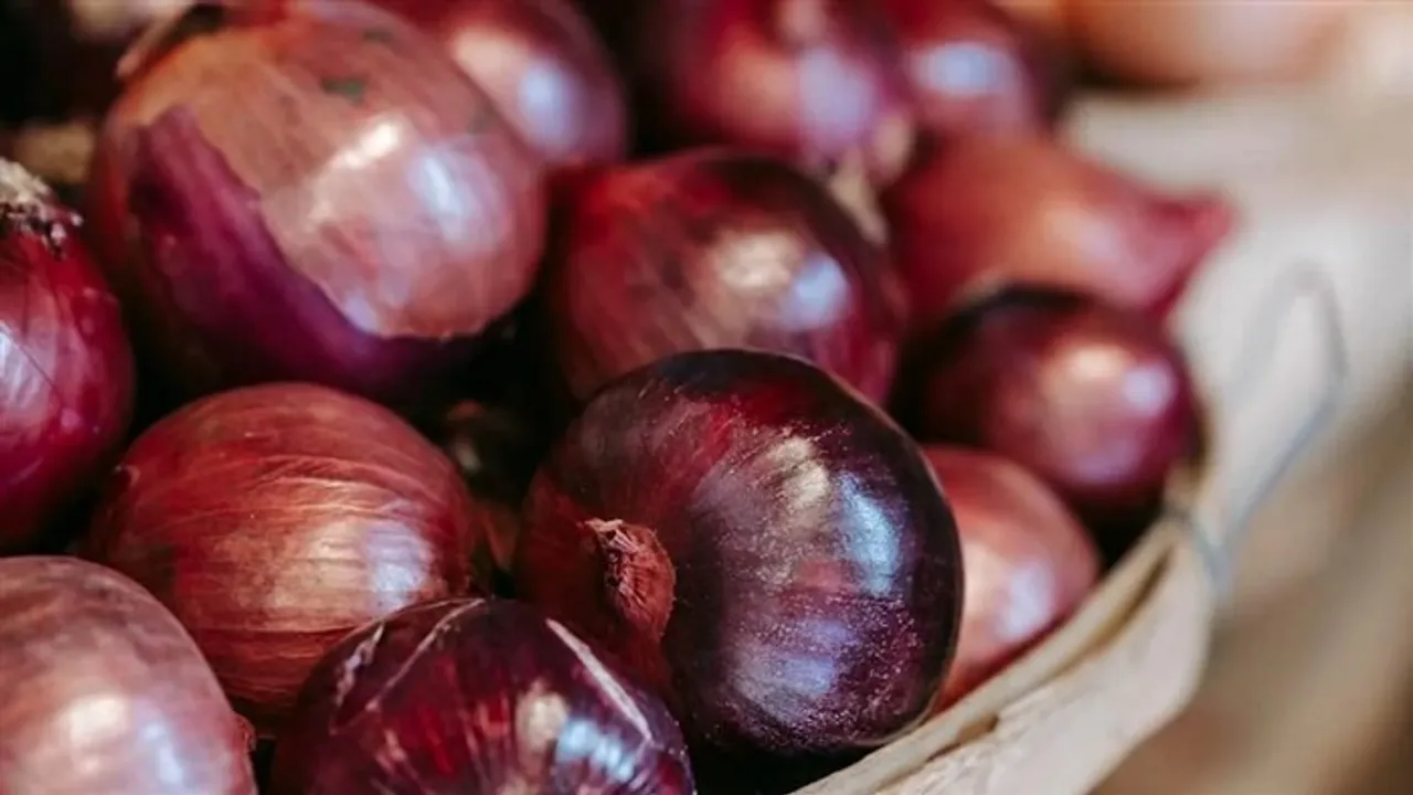 food-tips-is-it-safe-to-eat-sprouted-onions-all-you-need-to-know_170983219040