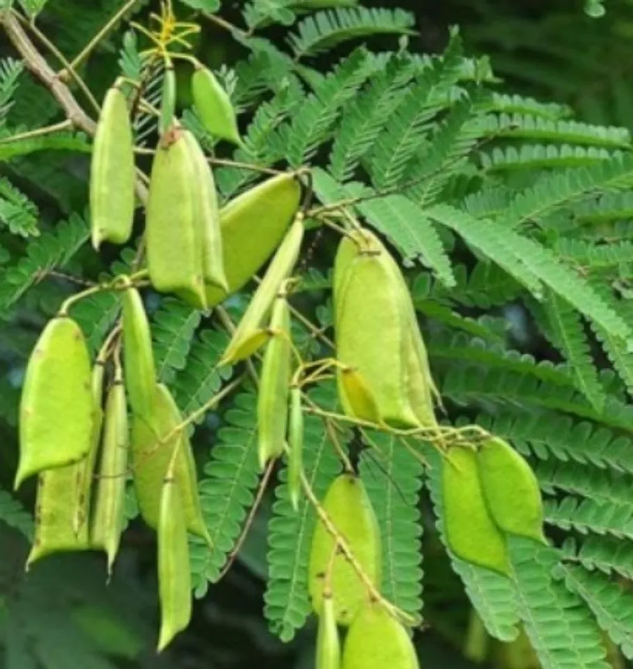 d280a754-53f1-4c8e-9288-ab50de55d0a8