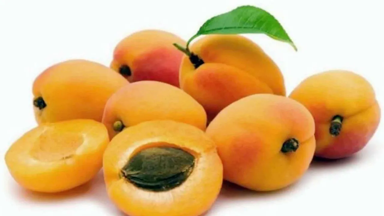 Manfaat-Aprikot-untuk-Kulit