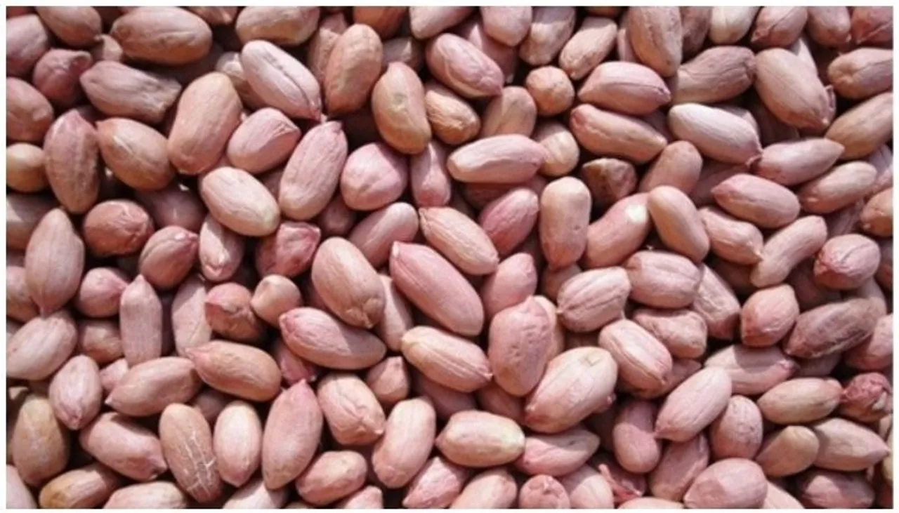 peanuts-jpg_1280x720xt