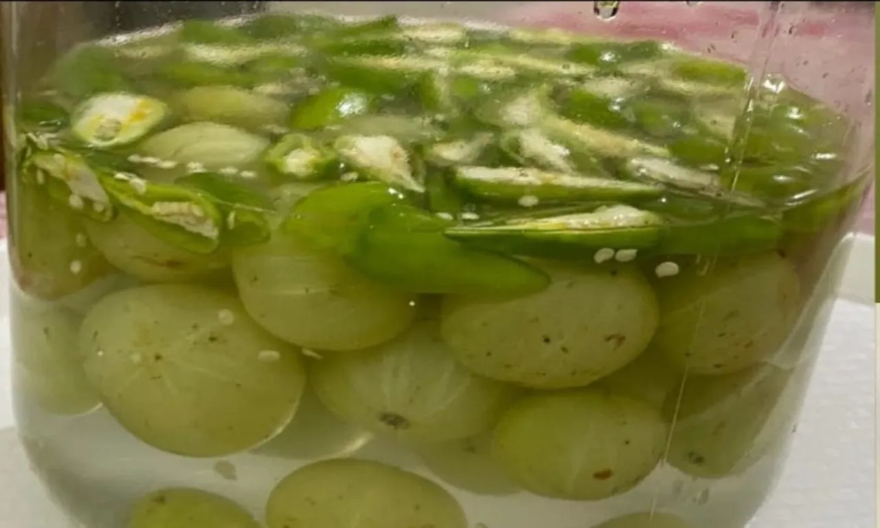 WhatsApp-Image-2024-12-17-at-12.27.19-PM-1024x614