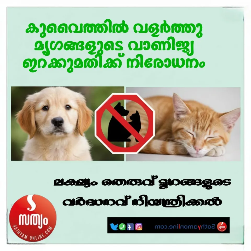 08a07143-25ee-4a36-9c7f-170c142bbf6b