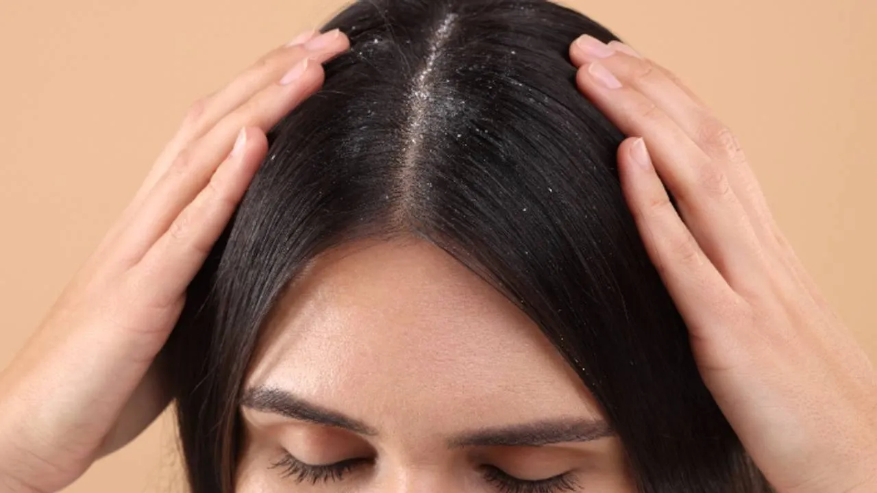 w-1280,h-720,format-jpg,imgid-01jxyjhysgx7kg37jh85f21gky,imgname-fotojet--10--1750151527216