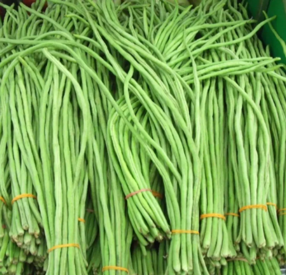 828d4278-6747-4ca0-8844-cc49cbbad1bf