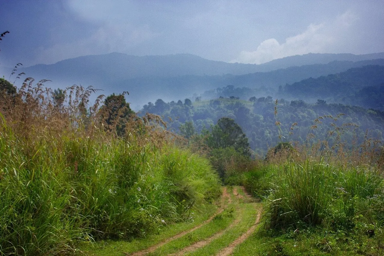 gulmohar-heavenly-homestay