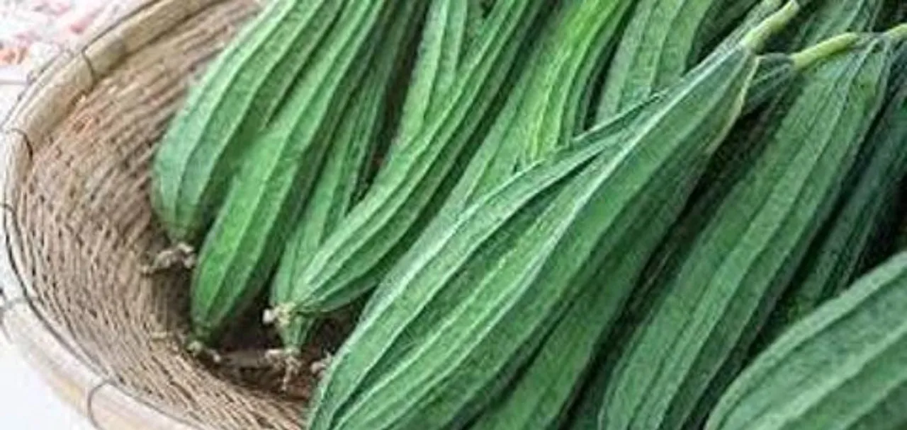 04fa15cb-5096-4ec5-92e6-6907d99d46eb