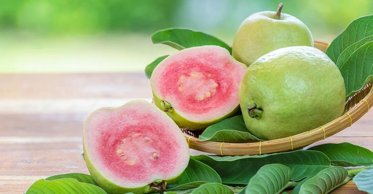 guava-fruit