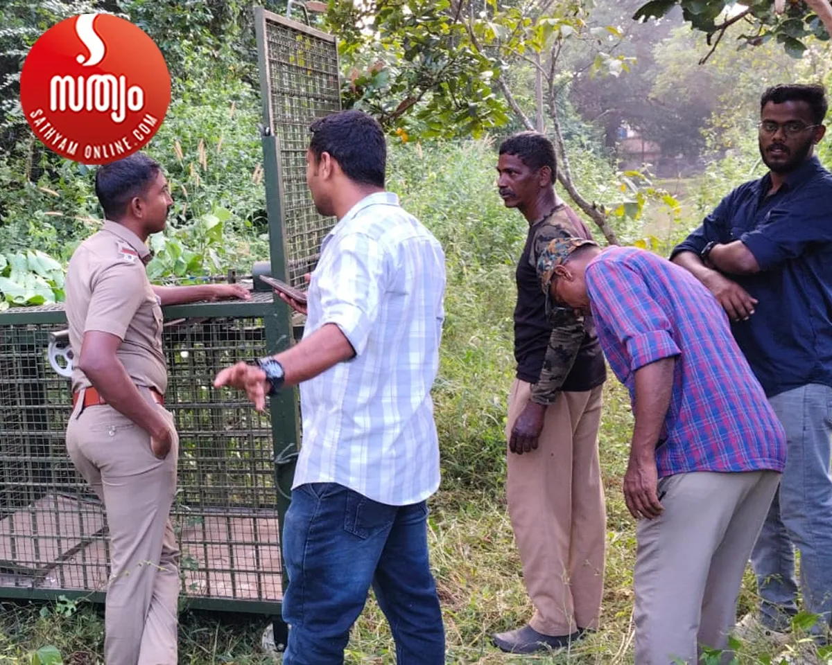 leopard trape installed