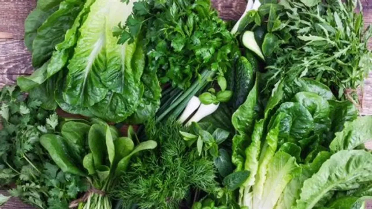 w-1280,h-720,imgid-01fbbechvam6817r4b03hq40xf,imgname-pjimage-jpg