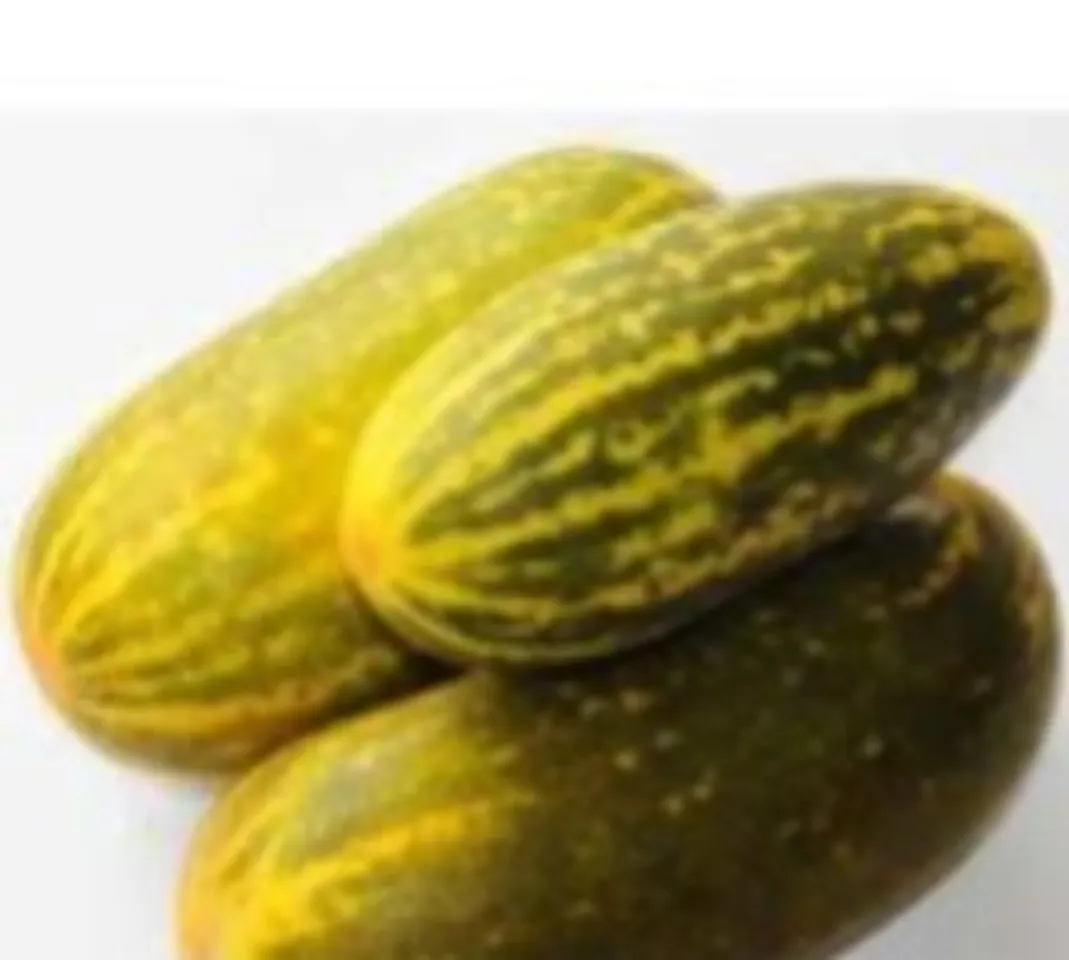 9d252840-eca7-4faa-a20b-7cfec43e3b76