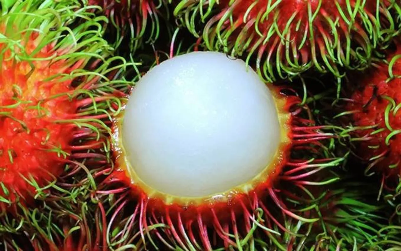 rambuttan