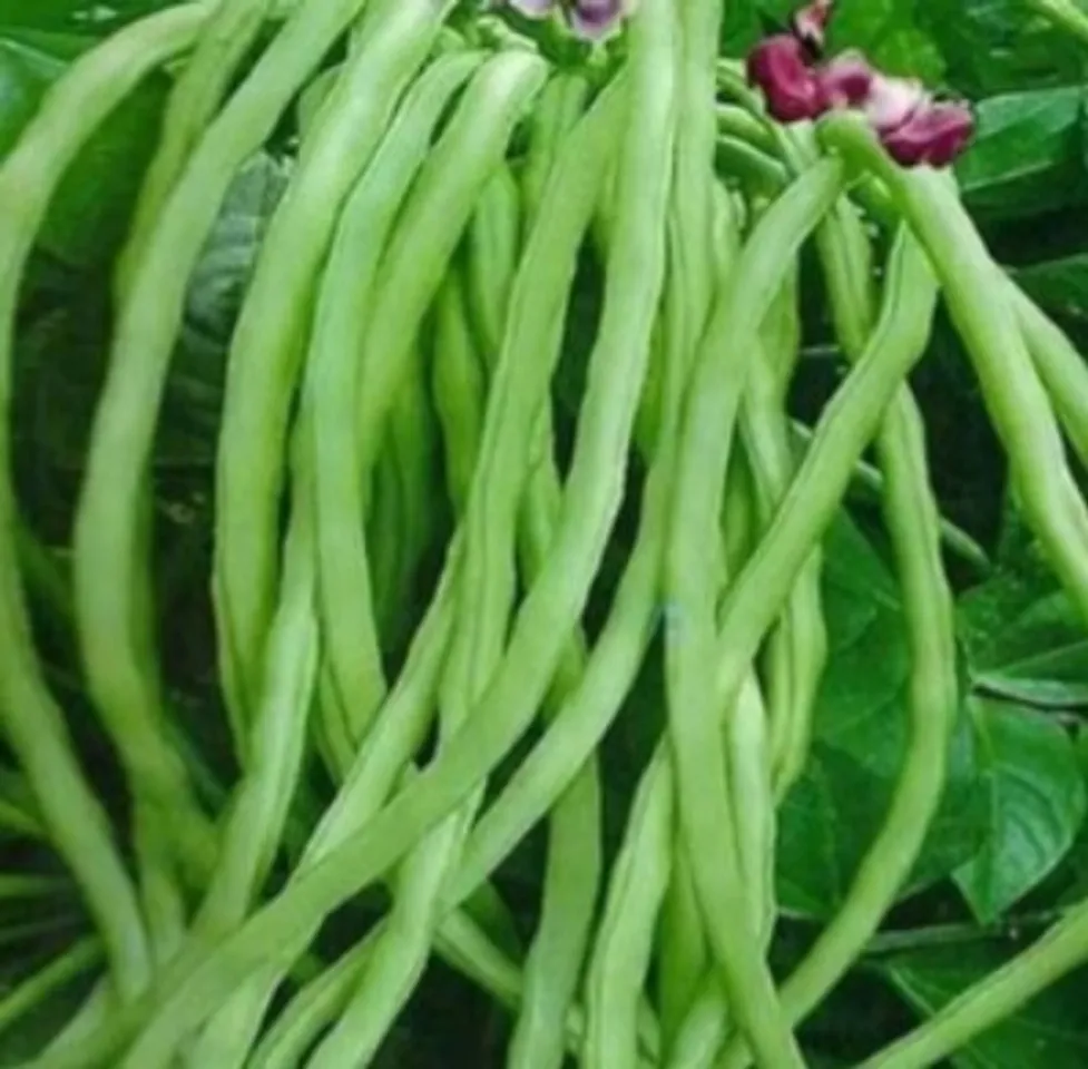 91e55994-8946-4c5a-89e3-64886e565468