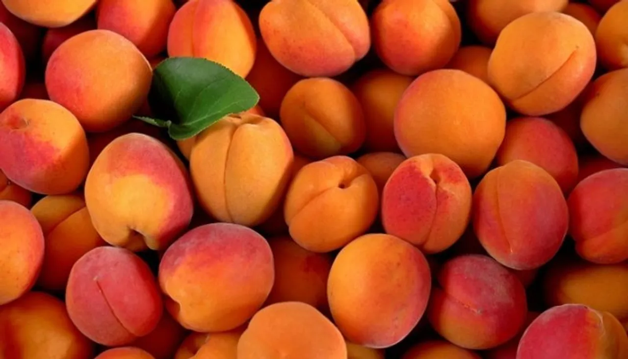 fotojet--88-_1200x630xt