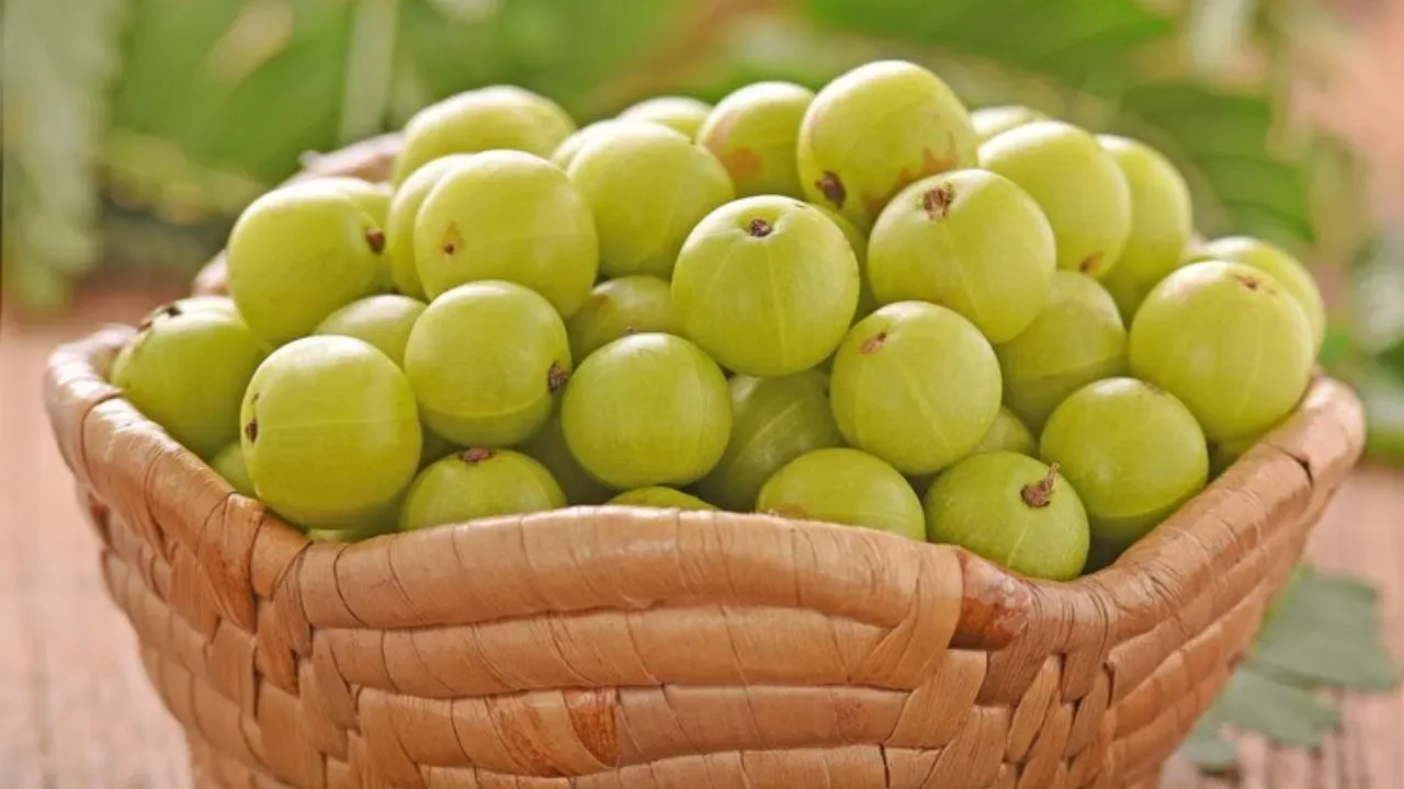Gooseberry-1
