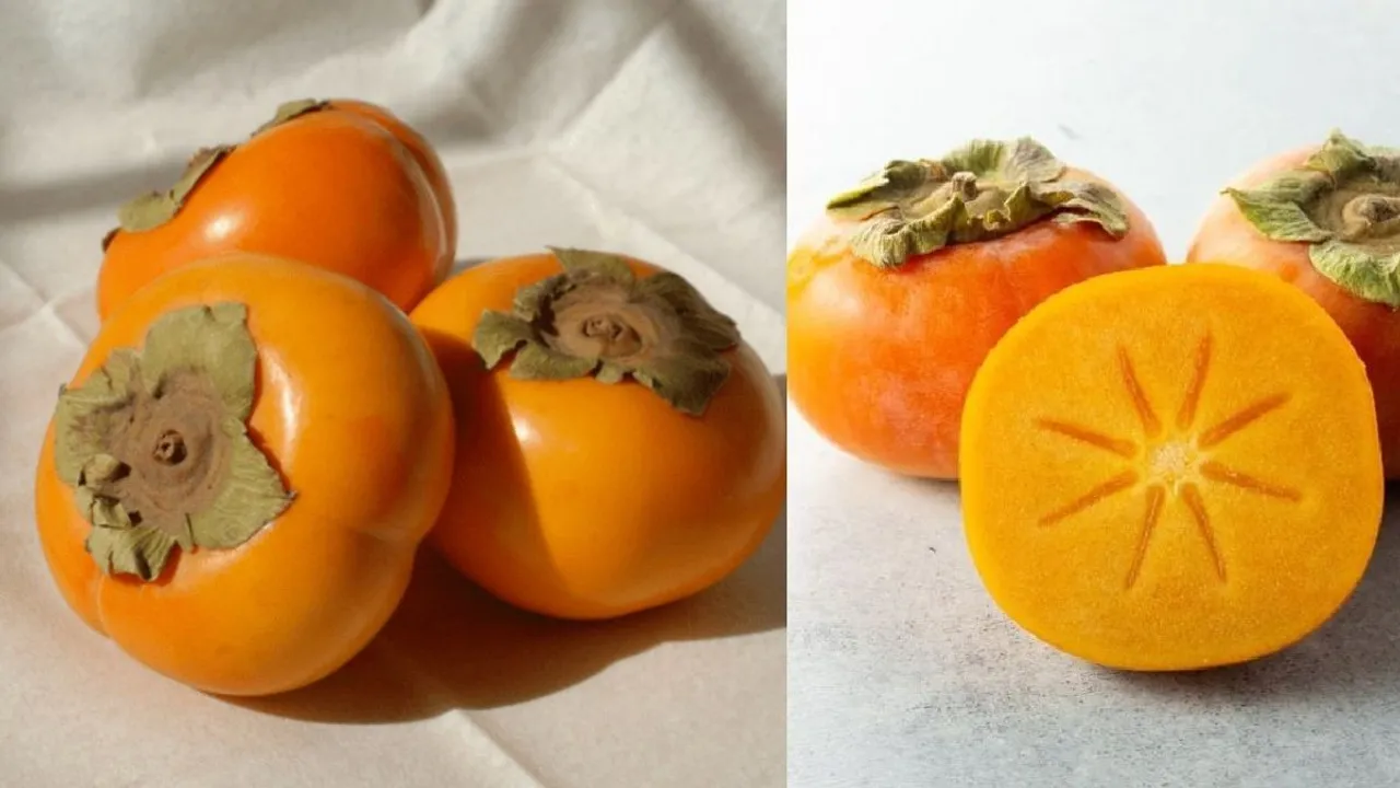 fruit-jpg-1764781268005_1764781270880-1200x675