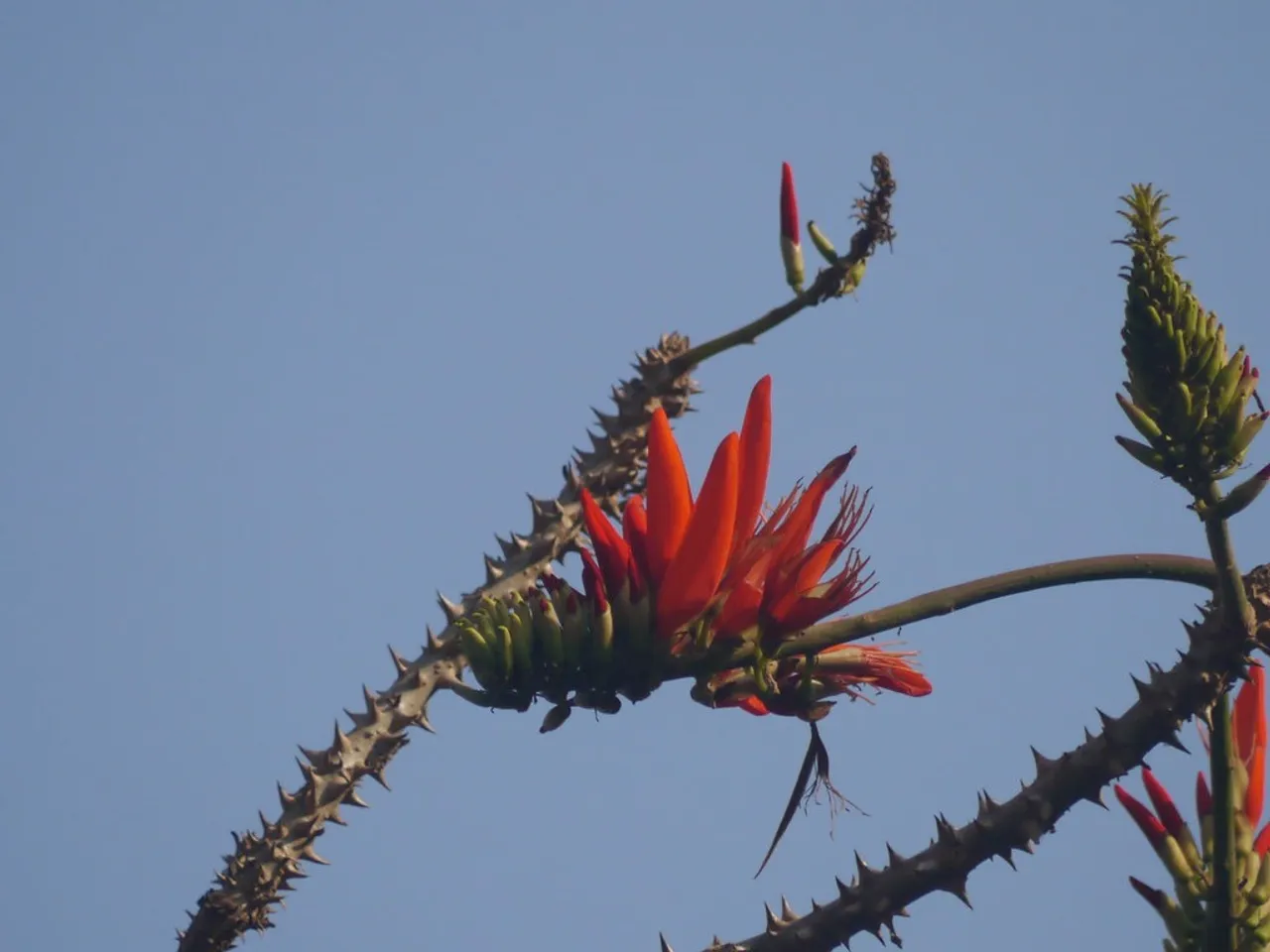 8482105102_1d8fe61d79_b