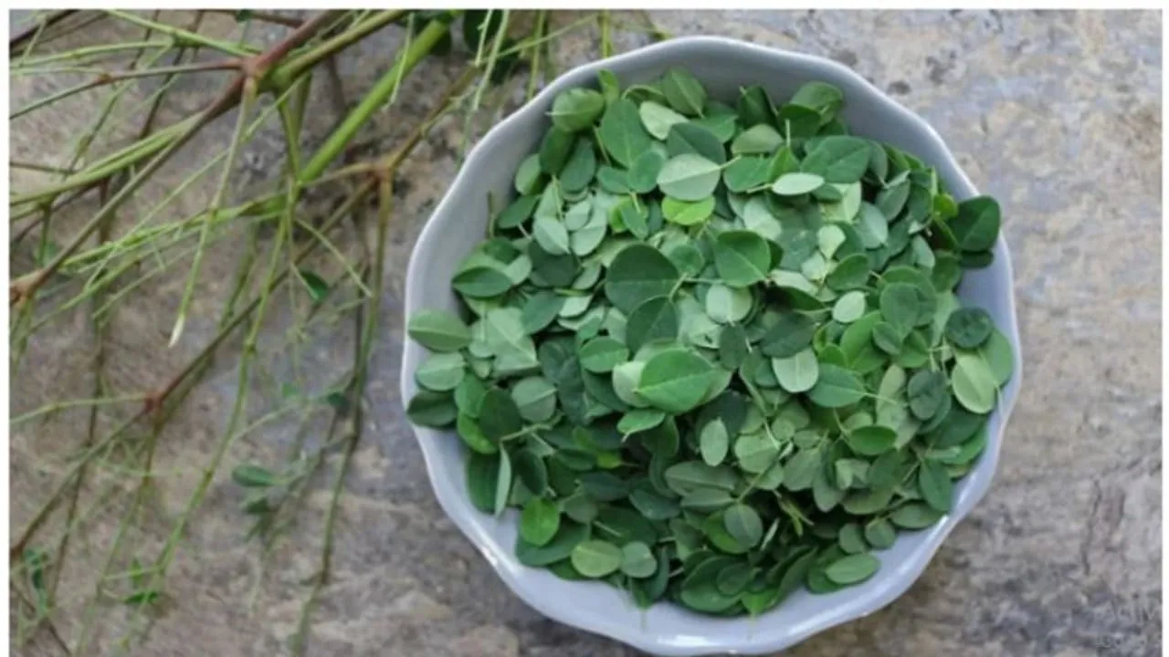 w-1280,h-720,imgid-01gwkhqp314e87n8m4xas4ggzz,imgname-collage-maker-28-mar-2023-12-55-pm-5106