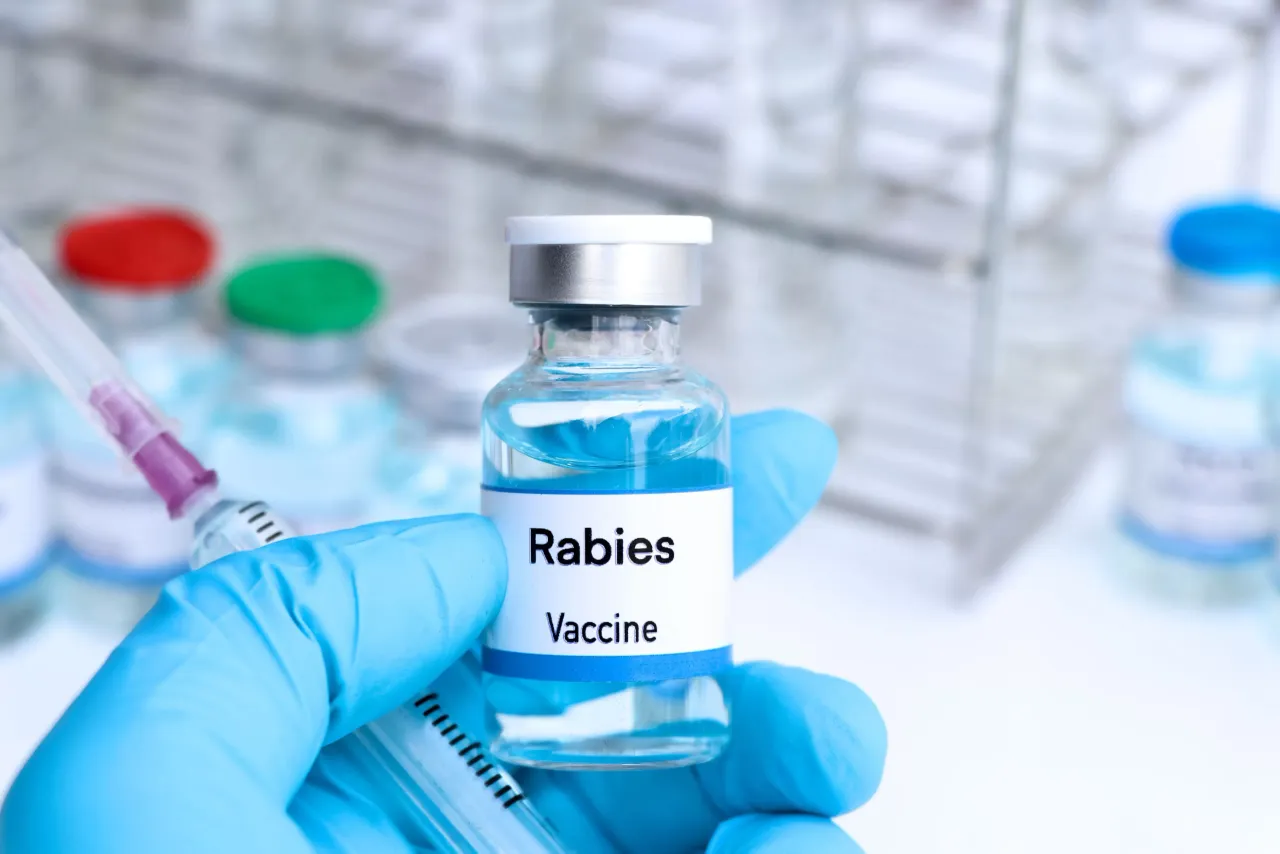 Anti-Rabies-Vaccine