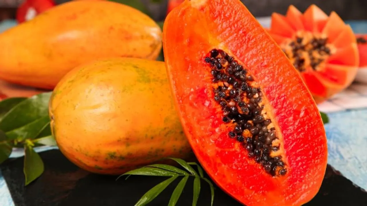 w-1280,h-720,format-jpg,imgid-01hgd49v49astmz43cw2rqdcc4,imgname-fotojet---2023-11-29t141527-895