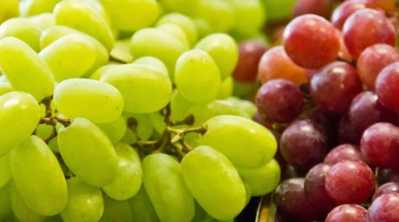 grapes-696x387
