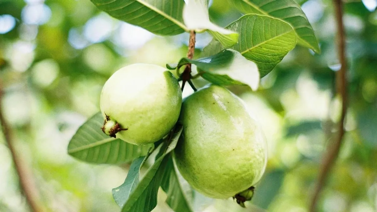 rVamFE3QZlkS0sygjUHn