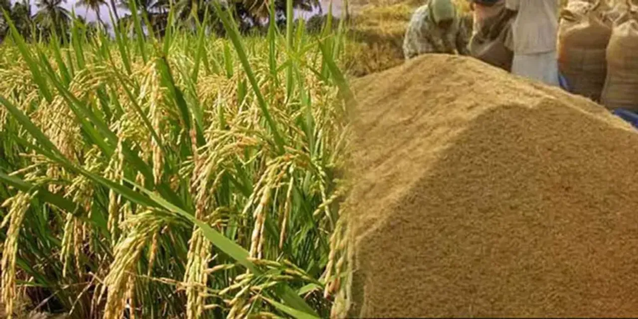 nellsambharanam-1755547139651-f18b19c9-ceb8-427d-b571-065a9653d1cc-900x450