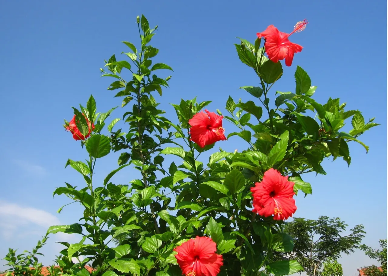 whatsapp-image-2023-09-01-at-211757