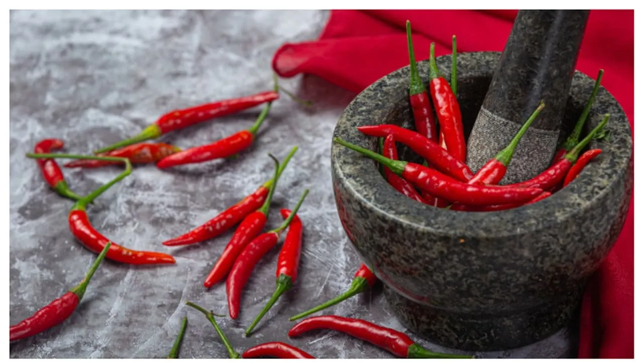 w-1280,h-720,format-jpg,imgid-01jr2d1fvs51kre5bq34y77mvx,imgname-chilliee