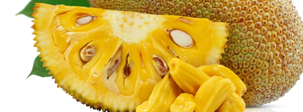 jackfruit (1)