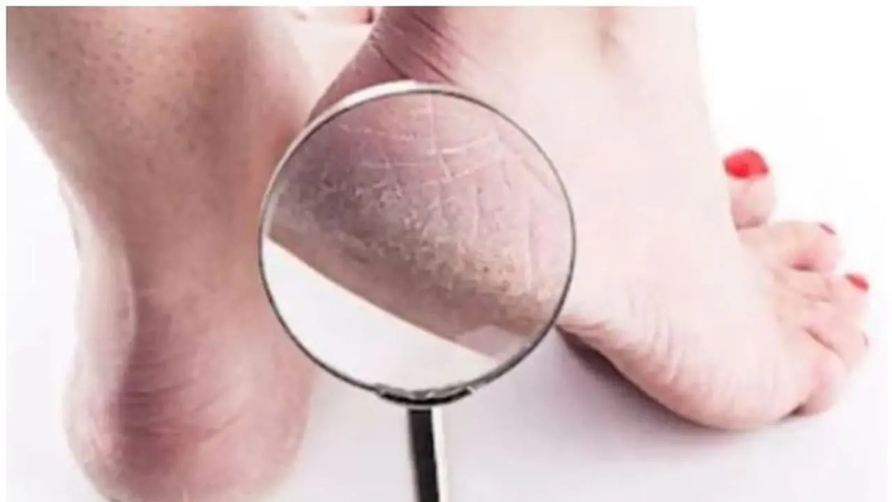 w-1280,h-720,format-jpg,imgid-01ew2qk5q8tt52qrd3d3ytbqyn,imgname-pjimage---2021-01-15t152608-794-jpg