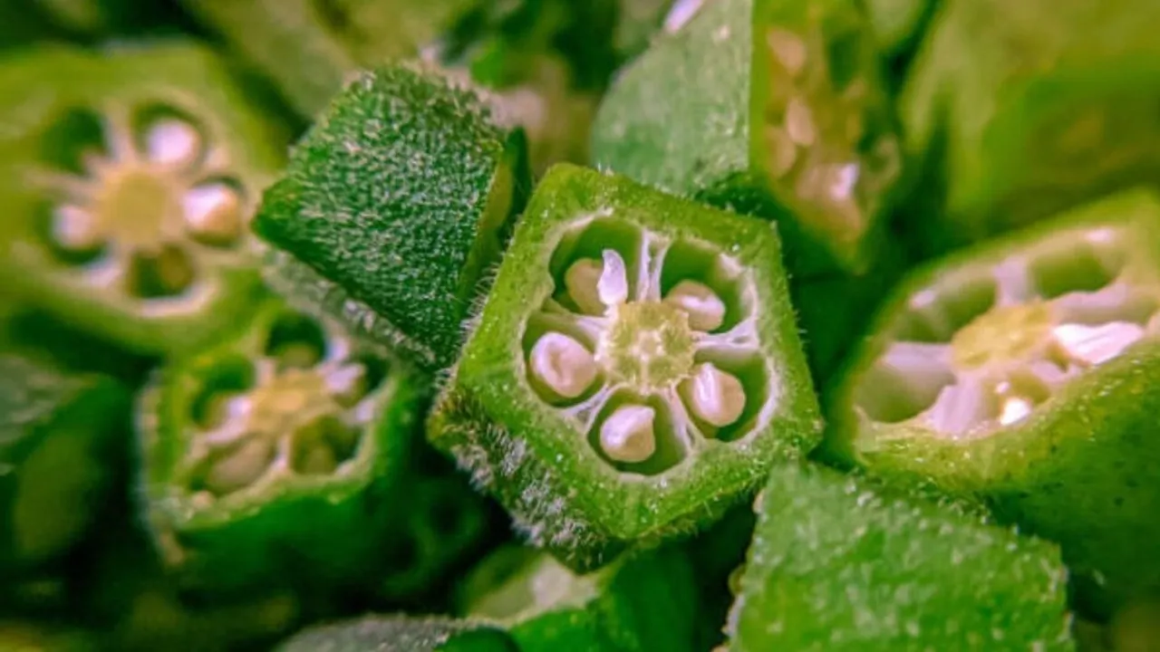 image_-_2023-08-11t140435.127-sixteen_nine_0