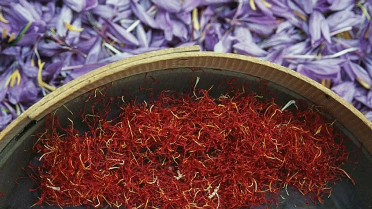 w-1280,h-720,imgid-01ecm99y4b3pgw0r1cvpjbaqej,imgname-saffron--jpg