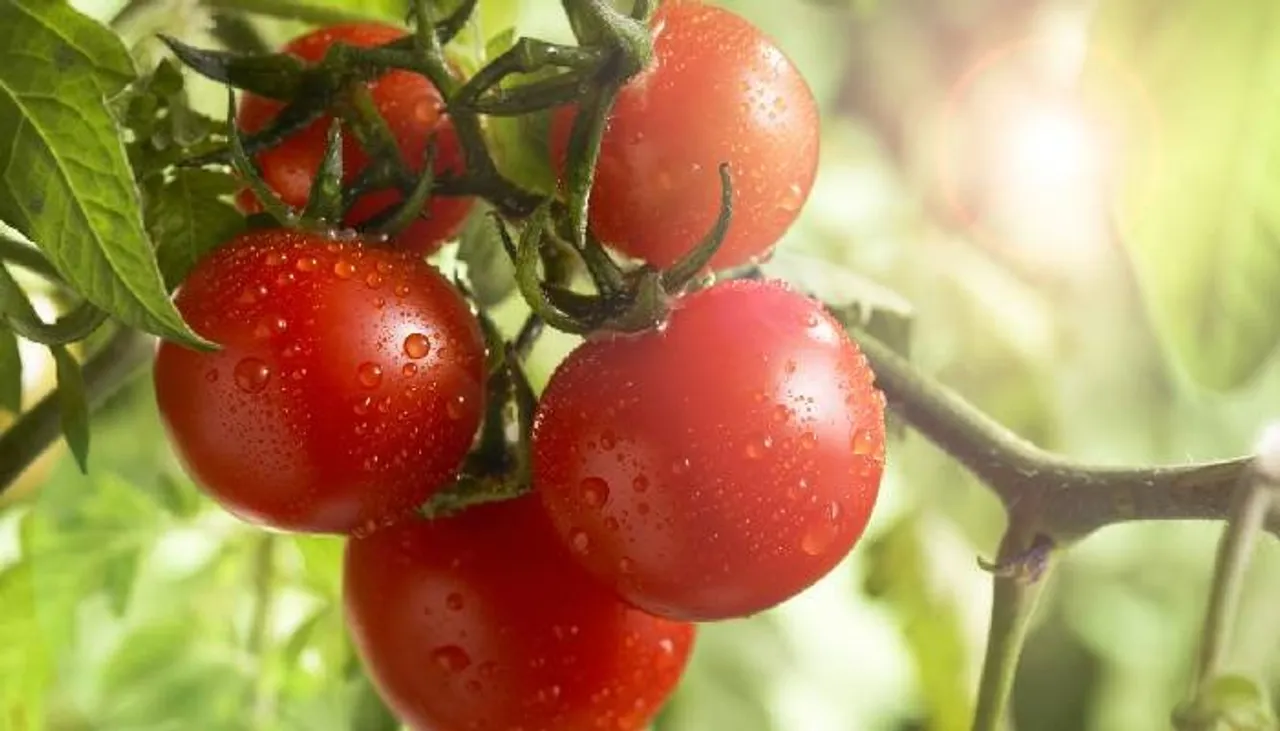 new-project---2025-01-26t160843.650_1280x720xt