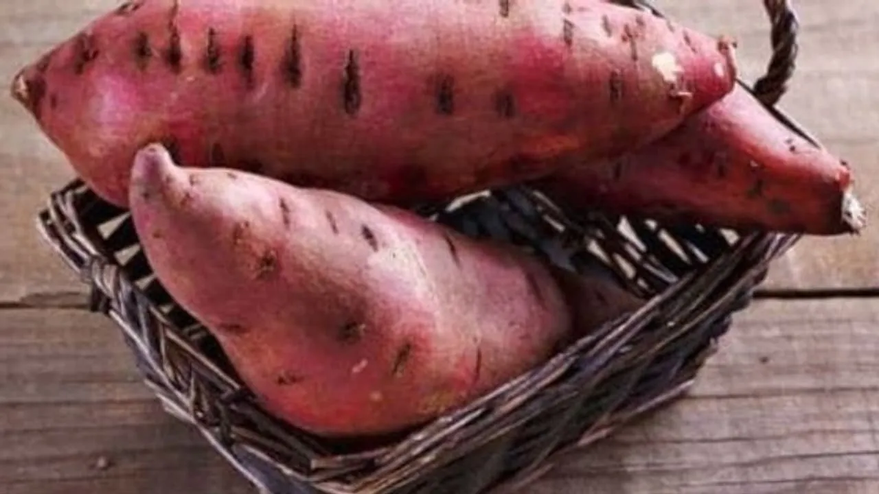 w-1280,h-720,format-jpg,imgid-01dq81wz782n4grr6t708eamjf,imgname-pjimage--4--jpg