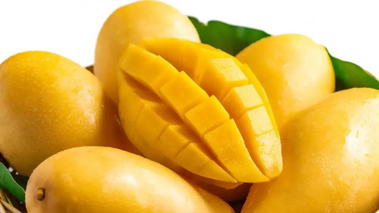 w-1280,h-720,imgid-01f9vpq44kaw15mcw6vavyftt5,imgname-mangoes-chopped-and-fresh-jpg