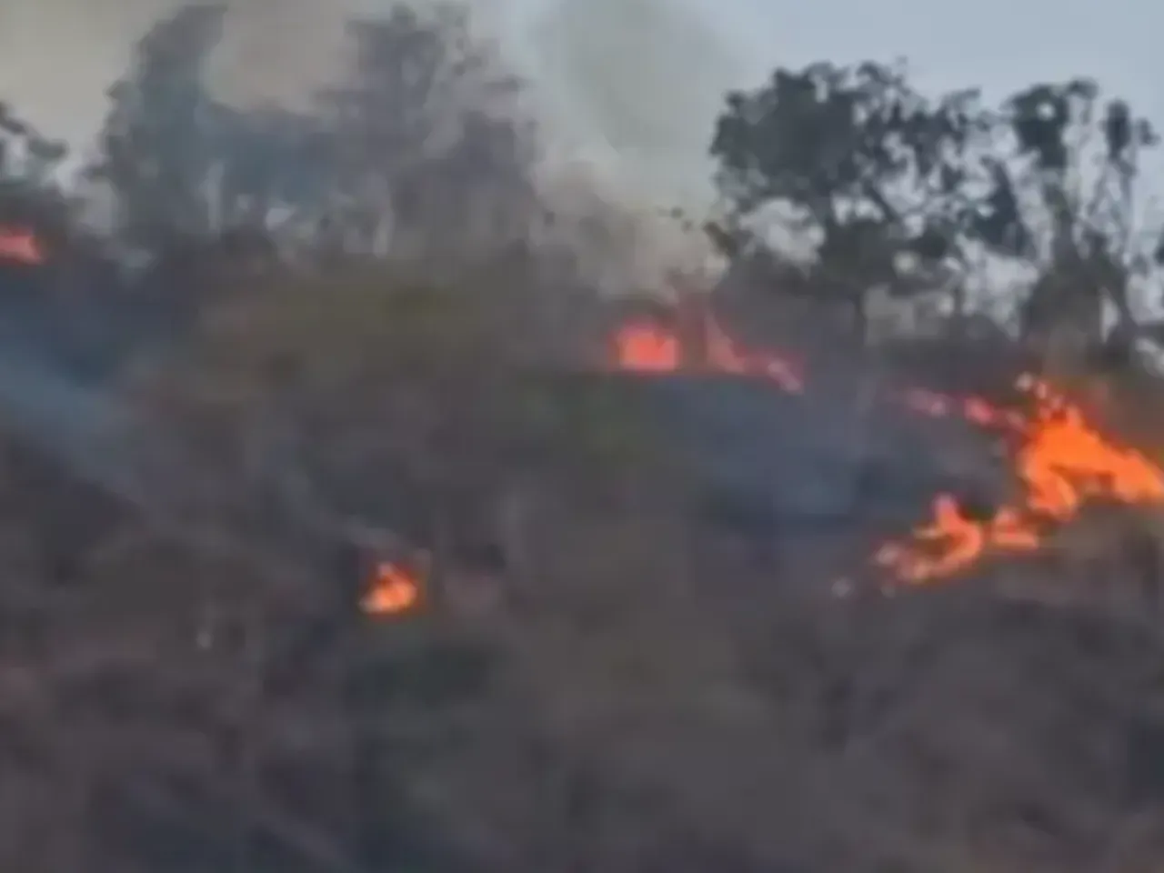 MANARKADU FIRE