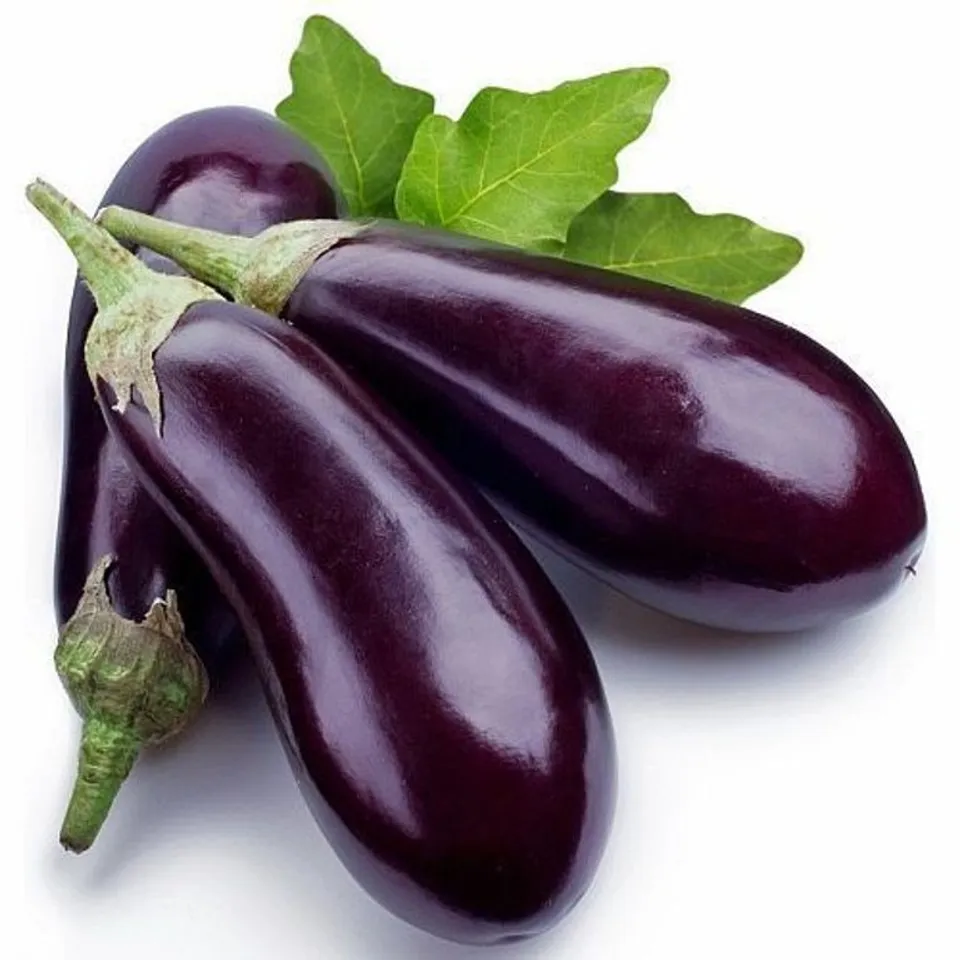 fresh-brinjal-500x500