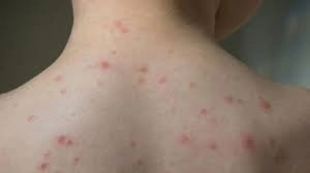 images - 2026-01-31T191131.731