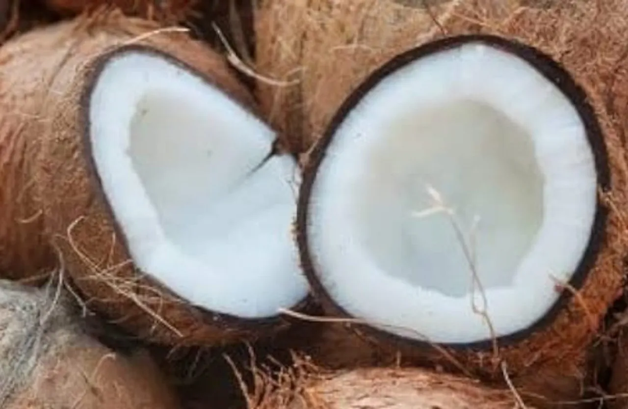 Thenga-Varutharacha-Chammanthi-Recipe-step-1-1024x666 (1)