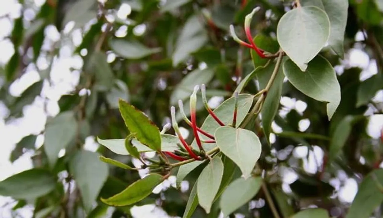 new-project-jpg_1200x630xt