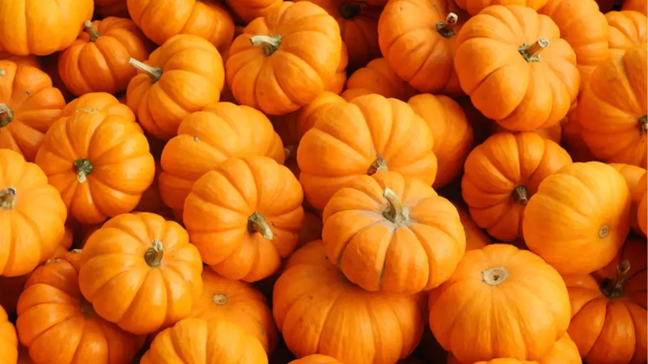 Pumpkin-benefits-2