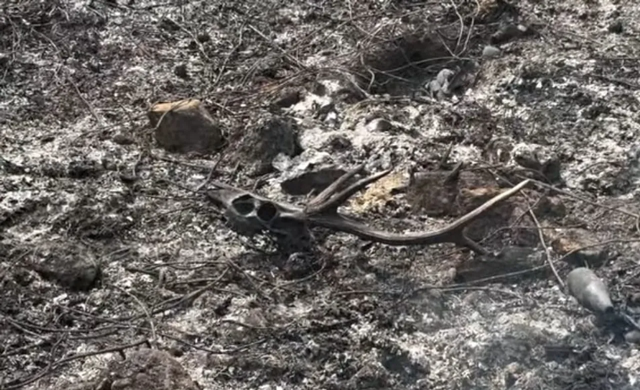 WhatsApp Image 2026-02-11 at 6.48.27 PM