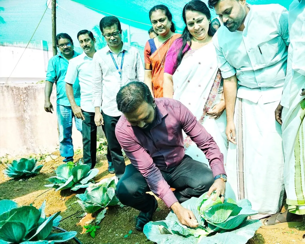 food scaping project