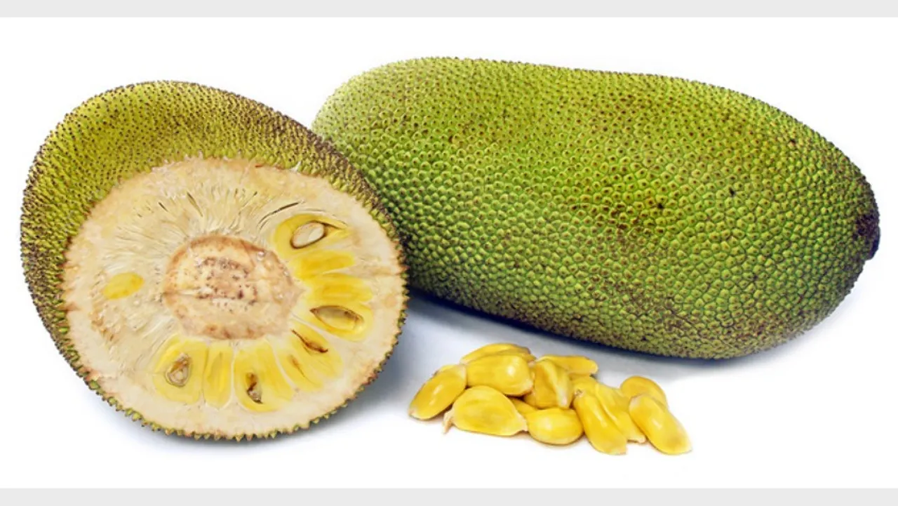 jackfruit-kerala