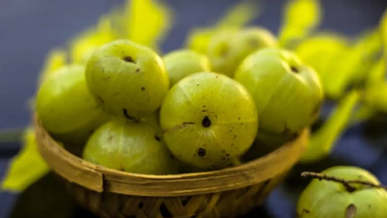 w-1280,h-720,format-jpg,imgid-01ggktd2pp4cve415wp269p1sk,imgname-fotojet--29-