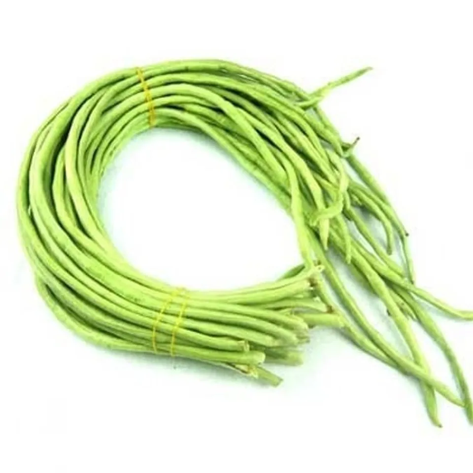 48c5517d-f302-43db-9372-d809ccedcf69-2025-07-25-16-21-33