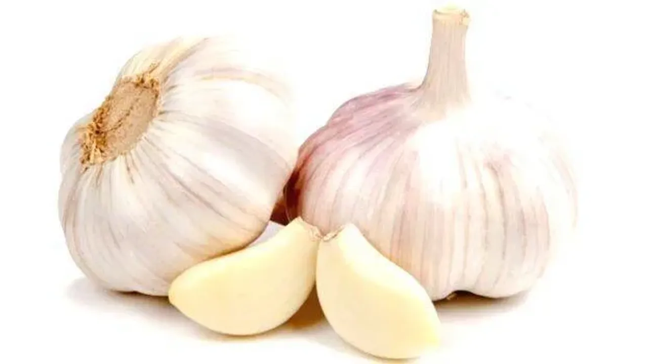 veluthully.1706979300