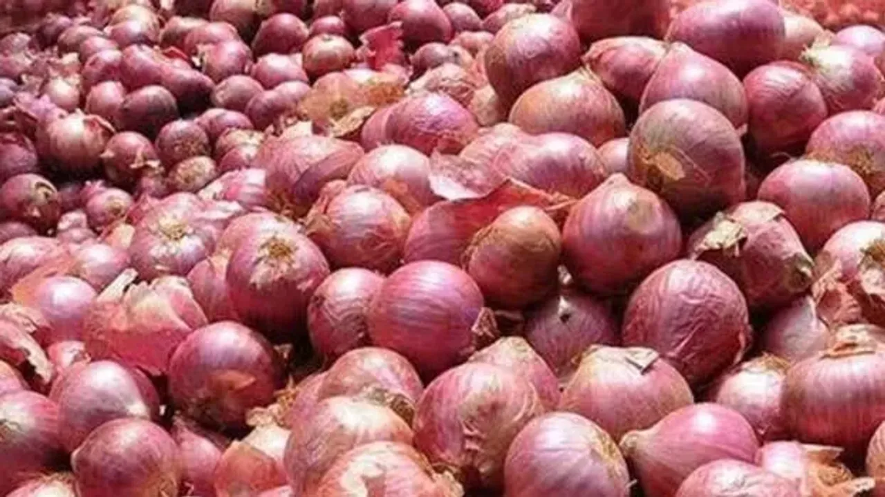 onion.1.3489081